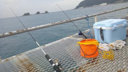 今日もアジは好調　（下関フィッシングパーク）